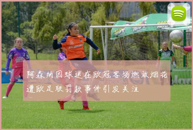 阿森纳因球迷在欧冠客场燃放烟花遭欧足联罚款事件引发关注